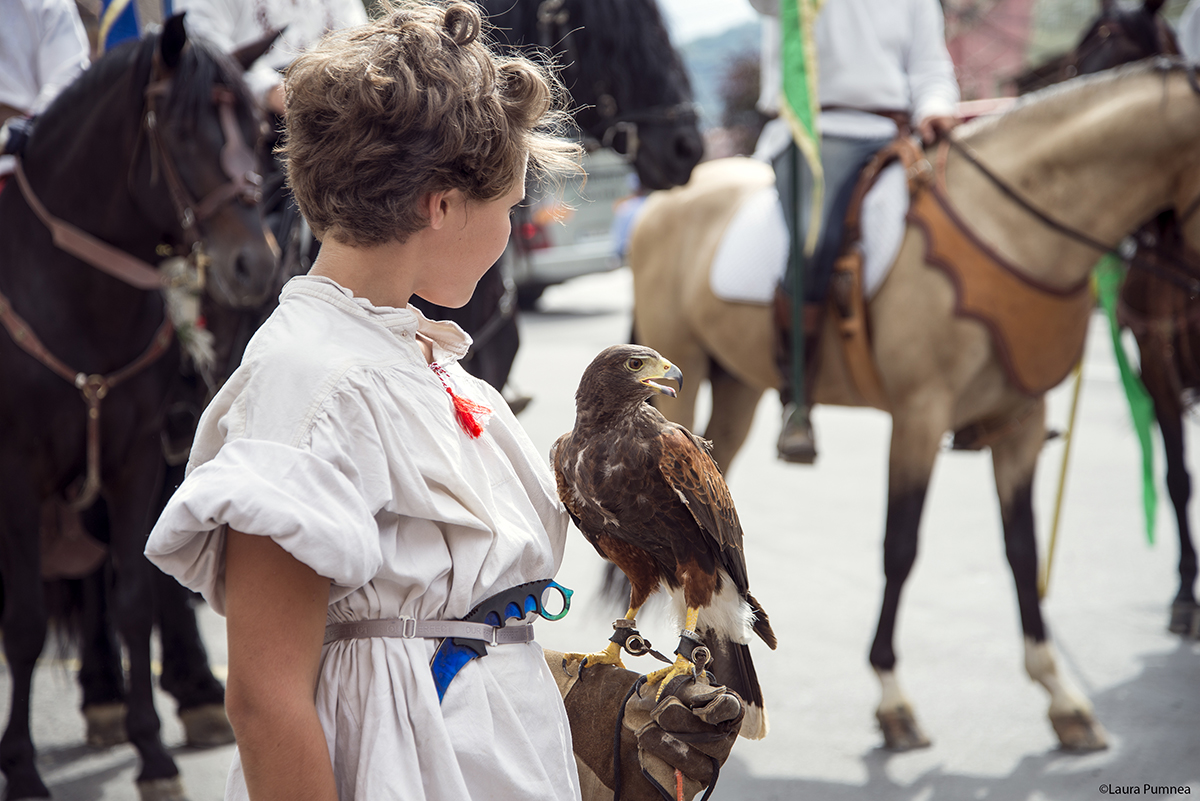 FESTIVALUL „SIGHIȘOARA MEDIEVALĂ”